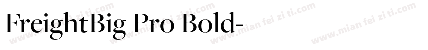 FreightBig Pro Bold字体转换